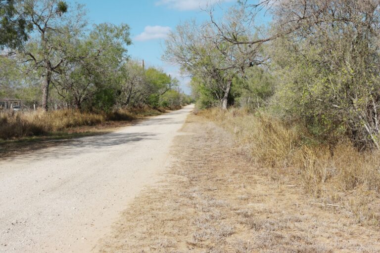 Justin Stacy_Christine, TX(0.46 LOT G2) - Rd