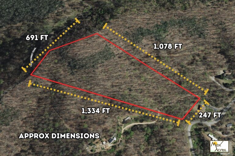 Trishia Kirkland Leicester,NC WEB