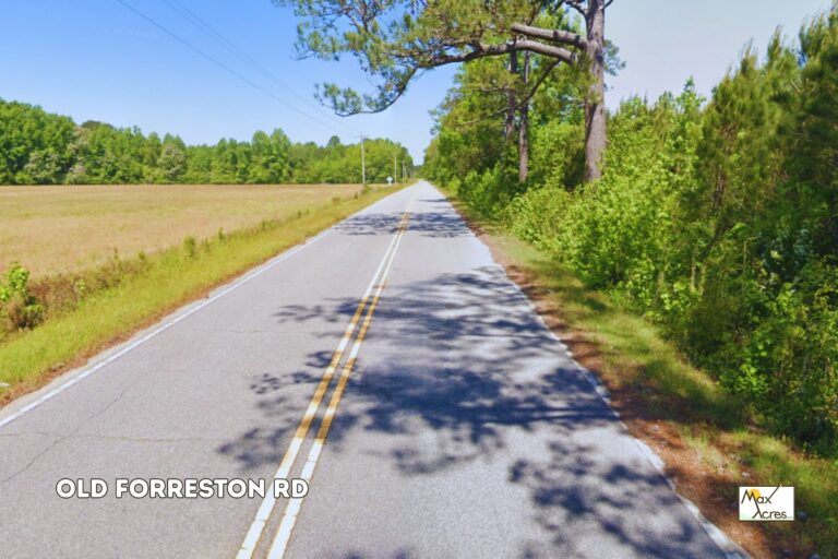 1.1 James Huffman, Greeleyville SC _ Road Frontage