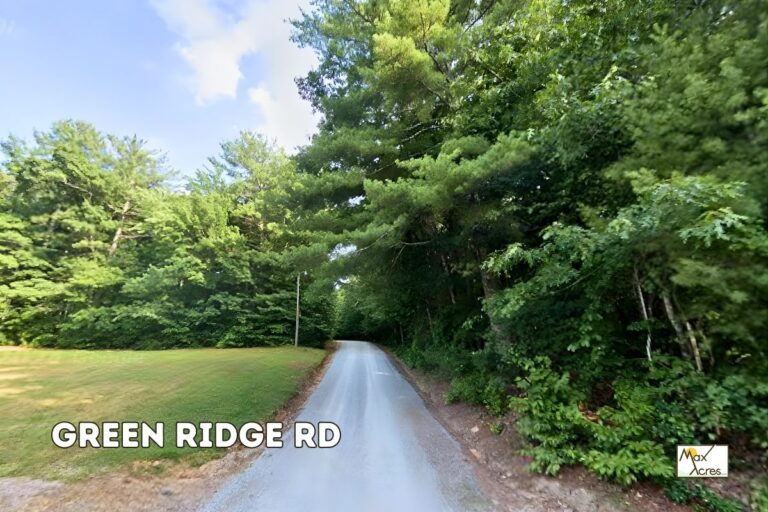 1.1 Mehrdad Motamedi _ Access Road