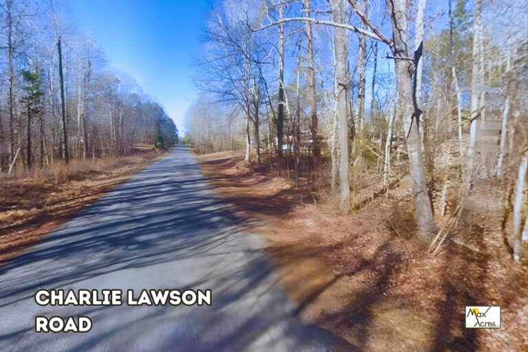 1.1 Theresa Ferguson_Halifax VA _ Road