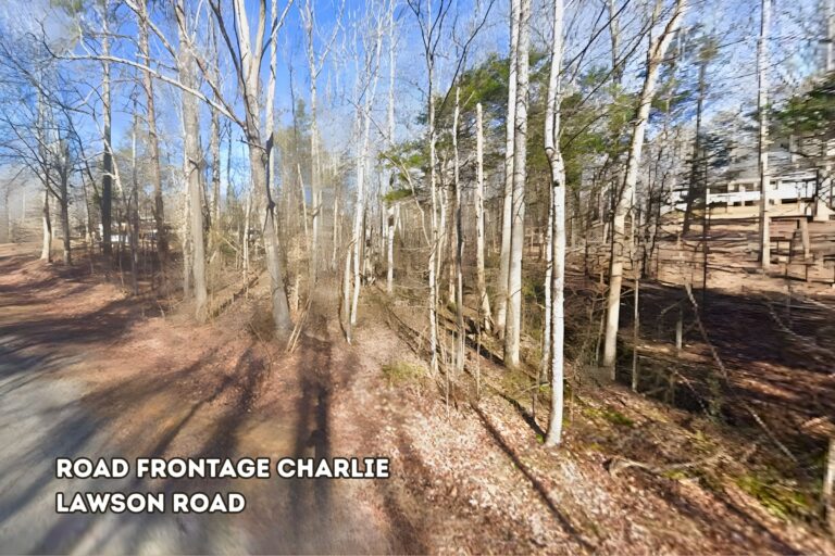 1.2 Theresa Ferguson_Halifax VA _ Rd Frontage