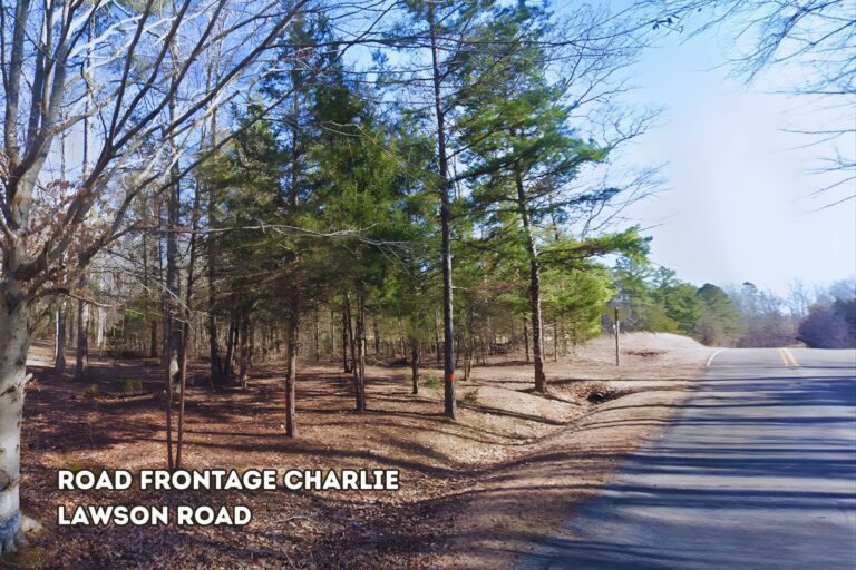 1.2 Theresa Ferguson_Halifax VA _ Rd Frontage