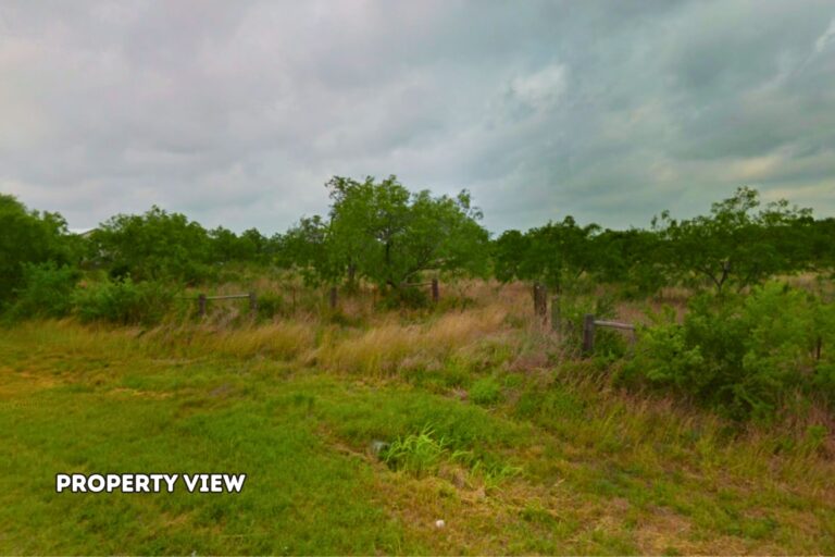 1.3 Daniel Guerra, Orange Grove TX _ Property View