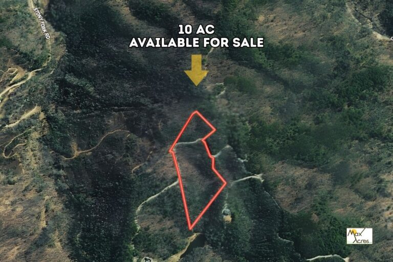 2.0 Denny Overbey, Orange NC _ _ Aerial View