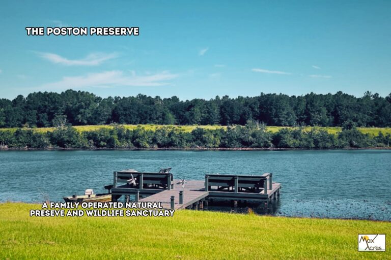 3.0 James Huffman, Greeleyville SC _ Nearby Reserve