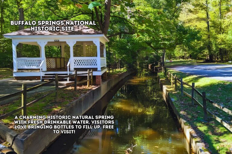 3.0 Theresa Ferguson_Halifax VA _ Buffalo Springs National Historic Site