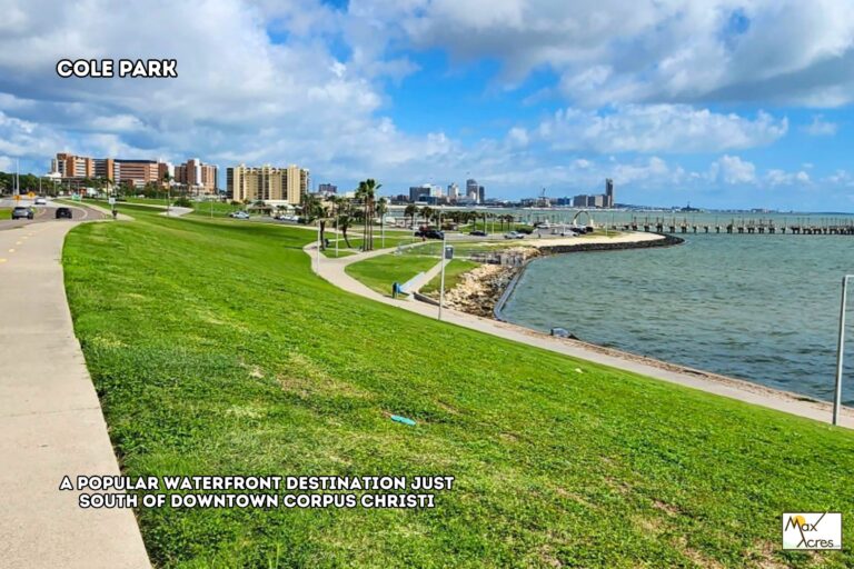 4.1 Daniel Guerra, Orange Grove TX _ Park