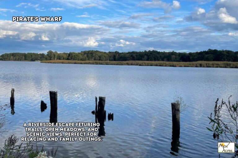 Nosratollah Mossavari, Salisbury MD 12