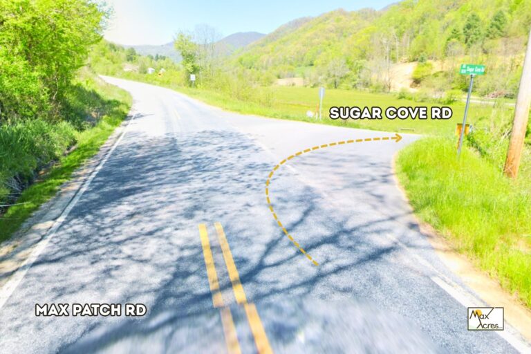 1.1 Leonardo Torres, Clyde NC _ Street View