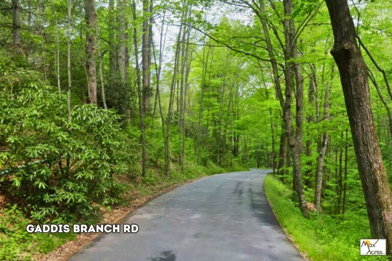 1.1 Paul Vennet, Trl,,Nc _ Rd acess