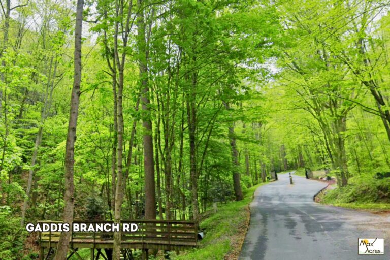 1.2 Paul Vennet, Trl,,Nc _ rd access 2