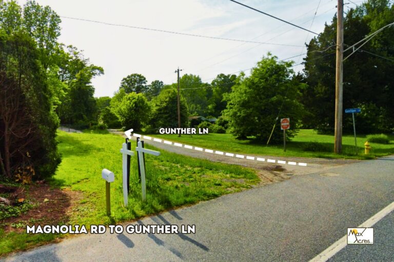 1.3 Donna Knight, Joppa,MD _ Street 3