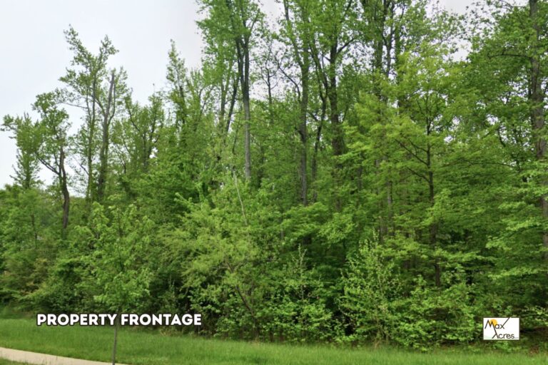1.3 Morgan Dowe, Washington,MD _ Road frontage