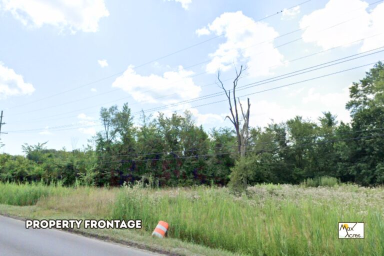 1.3 Terry Breaz, New Boston,MI _ Frontage