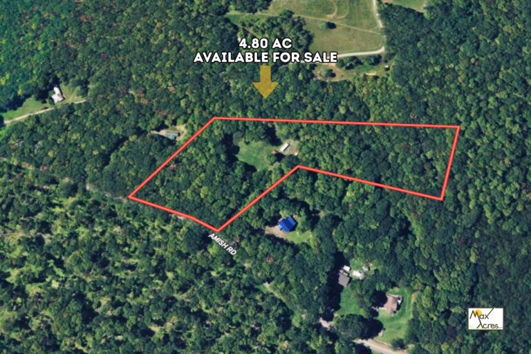 2.0 Bonnie Cromer, Grantsville,MD _ Aerial View