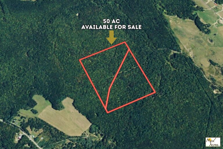 2.0 James Grove, Oakland,MD _ AErial View