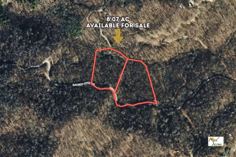 2.0 Leonardo Torres, Clyde NC _ Aerial View