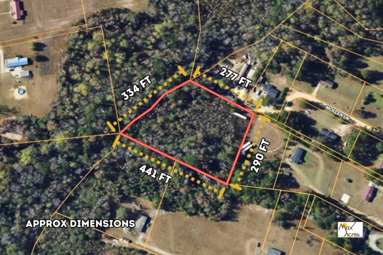 2.1 Deloris Brooks _ Dimension