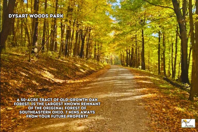 3.0 Bruce Stanford, Belmont,OH _ Near Park