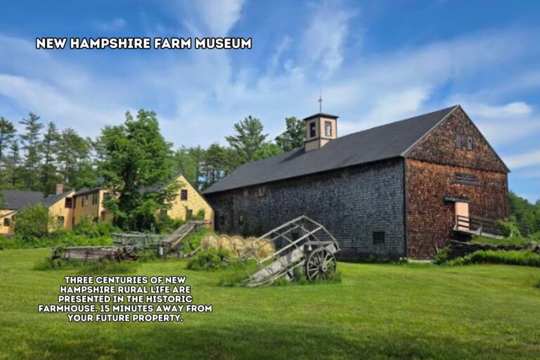 4.0 John Difrancesco _ Nearby Museum