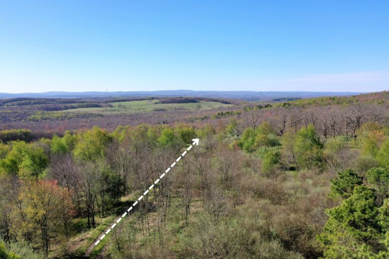 4.4 James Grove, Oakland,MD _ Easement