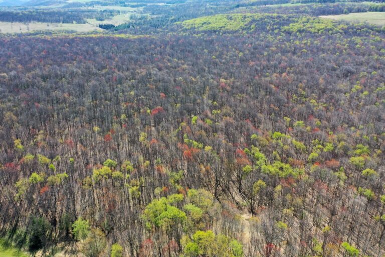 4.6 James Grove, Oakland,MD _ Aerial Access