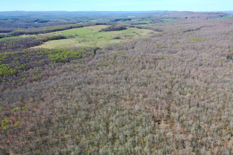 4.7 James Grove, Oakland,MD _ Aerial View Property (3)