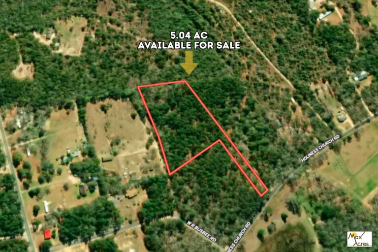 2.0 Steven C Jeffcoat, Wagener SC _ Aerial View