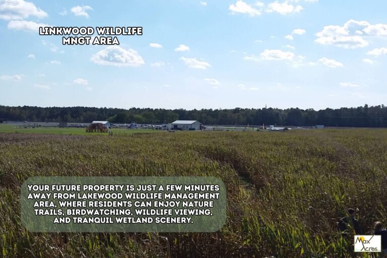 3.0 Harmon Maddox, Vienna MD _ Nearby Amenity