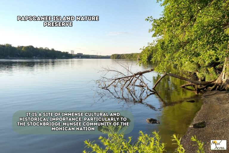4.0 Mark Luzzi, Feura Bush,NY _ Amenity