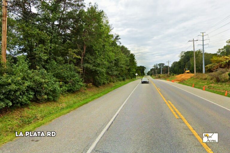 Sharon Douglas, La Plata,MD WEB Street