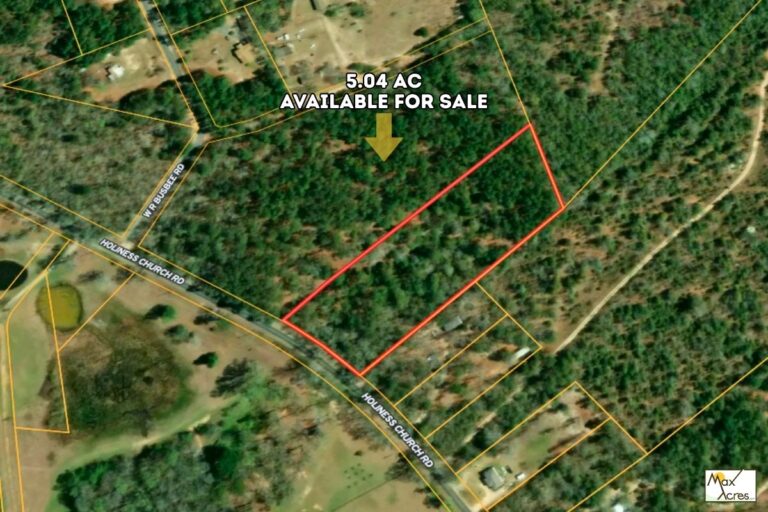 2.0 Steven C Jeffcoat, Wagener SC _ Aerial View