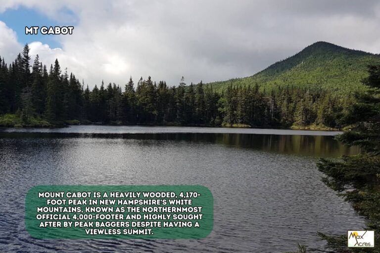4.2 Loretta Lambert, Guildhall,VT _ Mountain