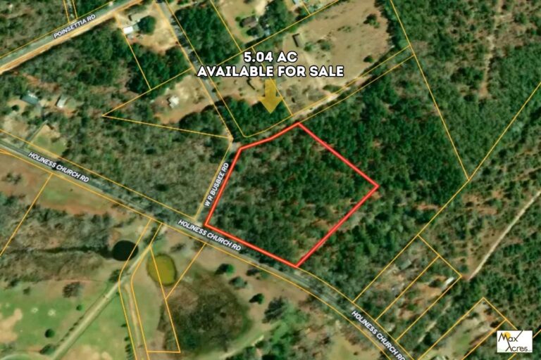 2.0 Steven C Jeffcoat, Wagener SC _ Aerial View