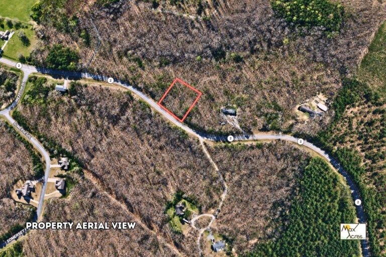2.1 Michael Levy _ Point TX