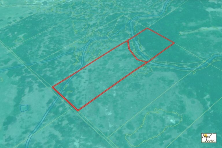 2.4 Gregory Trumbo, Smiley,TX _ Wetland