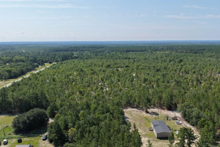 Jonathan Hartman Lot G _ AErial View2