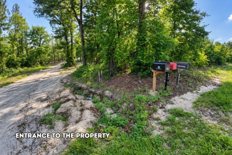 Jonathan Hartman Lot G _ Entrance 2