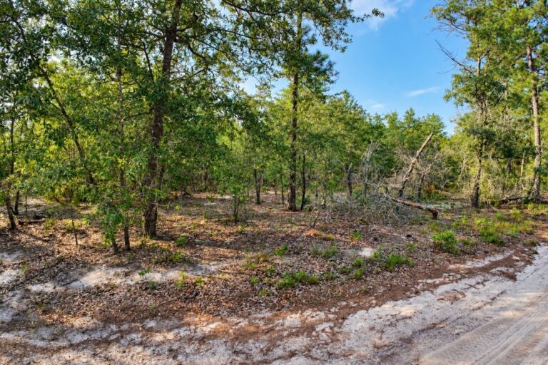Jonathan Hartman Lot G _ Property Tour4