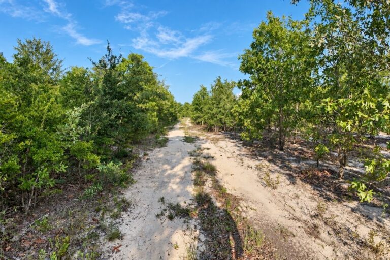 Jonathan Hartman Lot G _ Property entrance