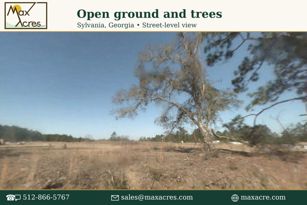 03_Open_Ground_and_Trees_2400x1600