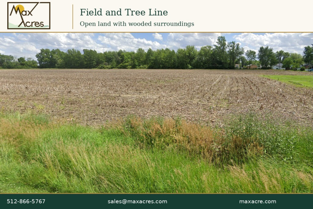 04_Field_and_Tree_Line
