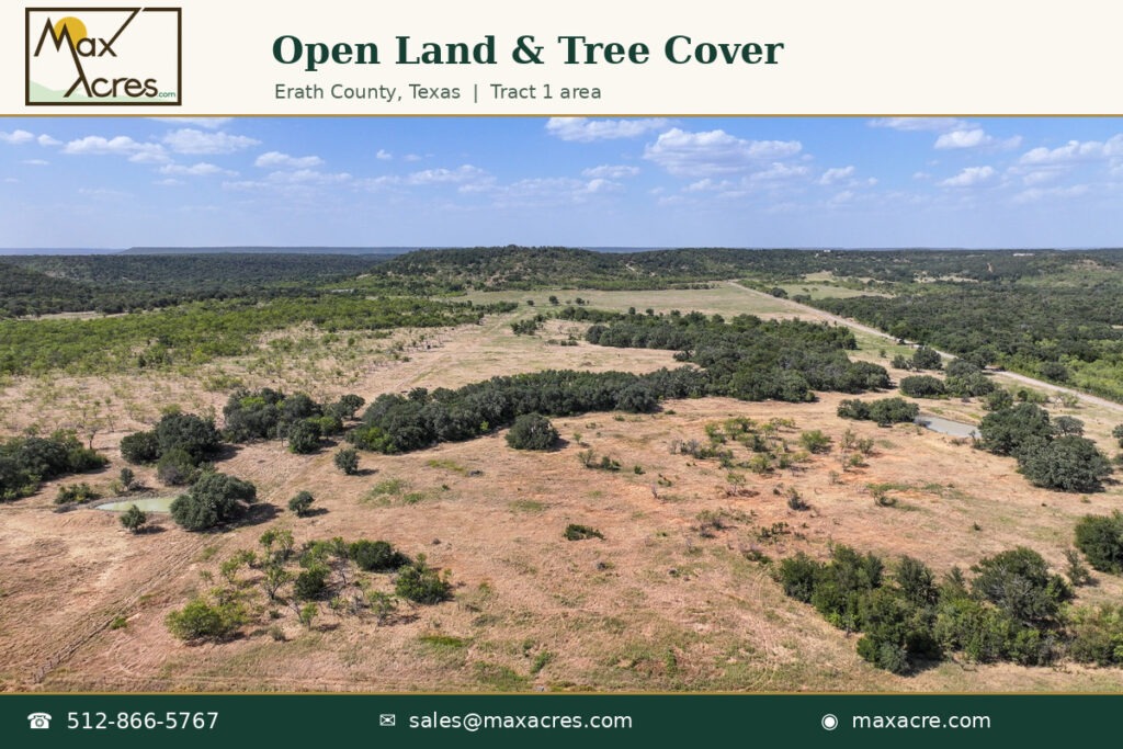 06_Open_Land_and_Tree_Cover
