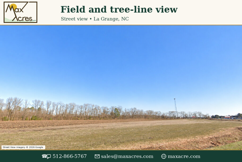08_Field_Ground_View