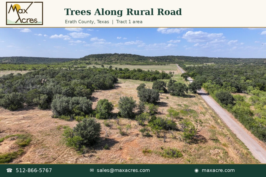 09_Trees_Along_Rural_Road