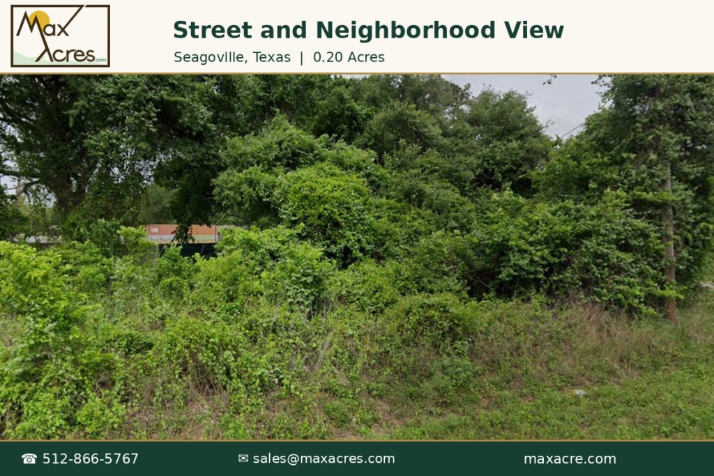 10_Street_and_Neighborhood_View