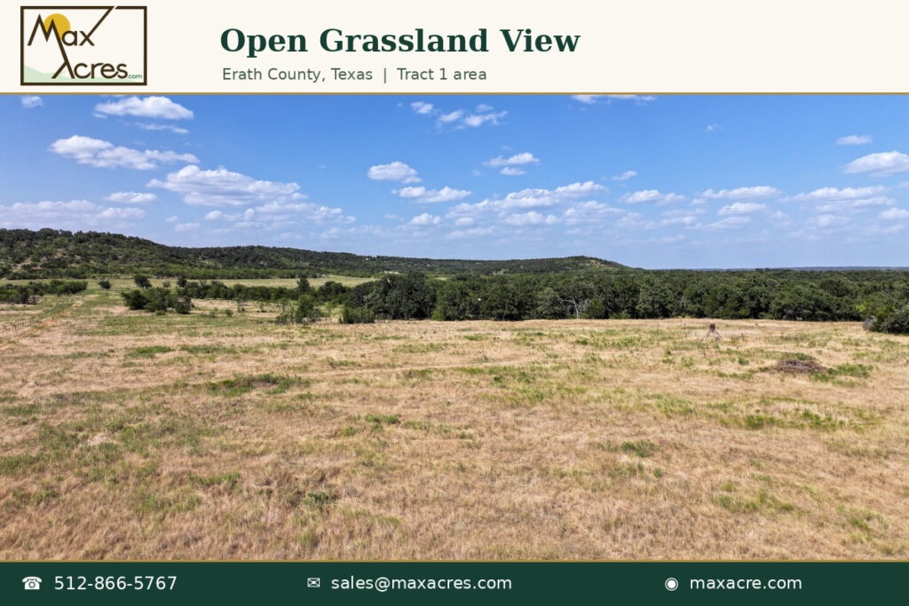 12_Open_Grassland_View