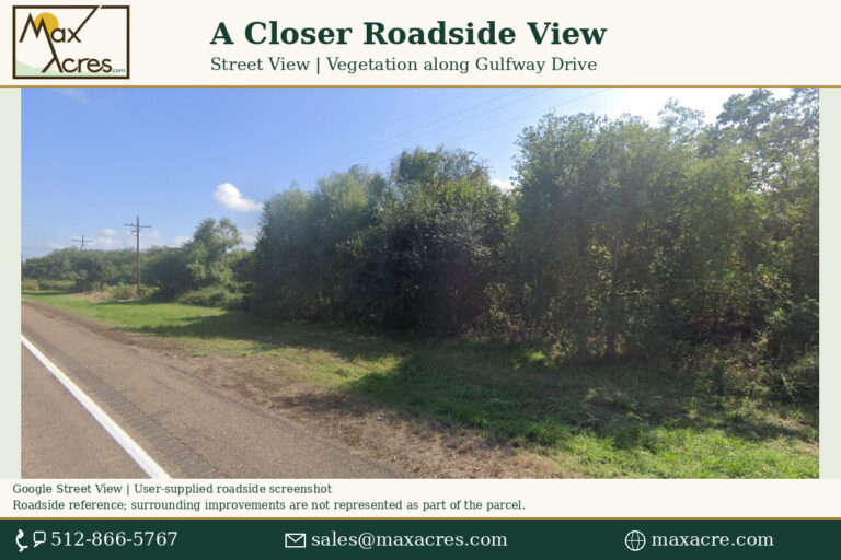 13_Street_View_Vegetation