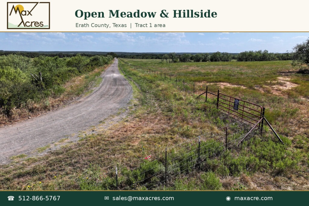 14_Open_Meadow_and_Hillside